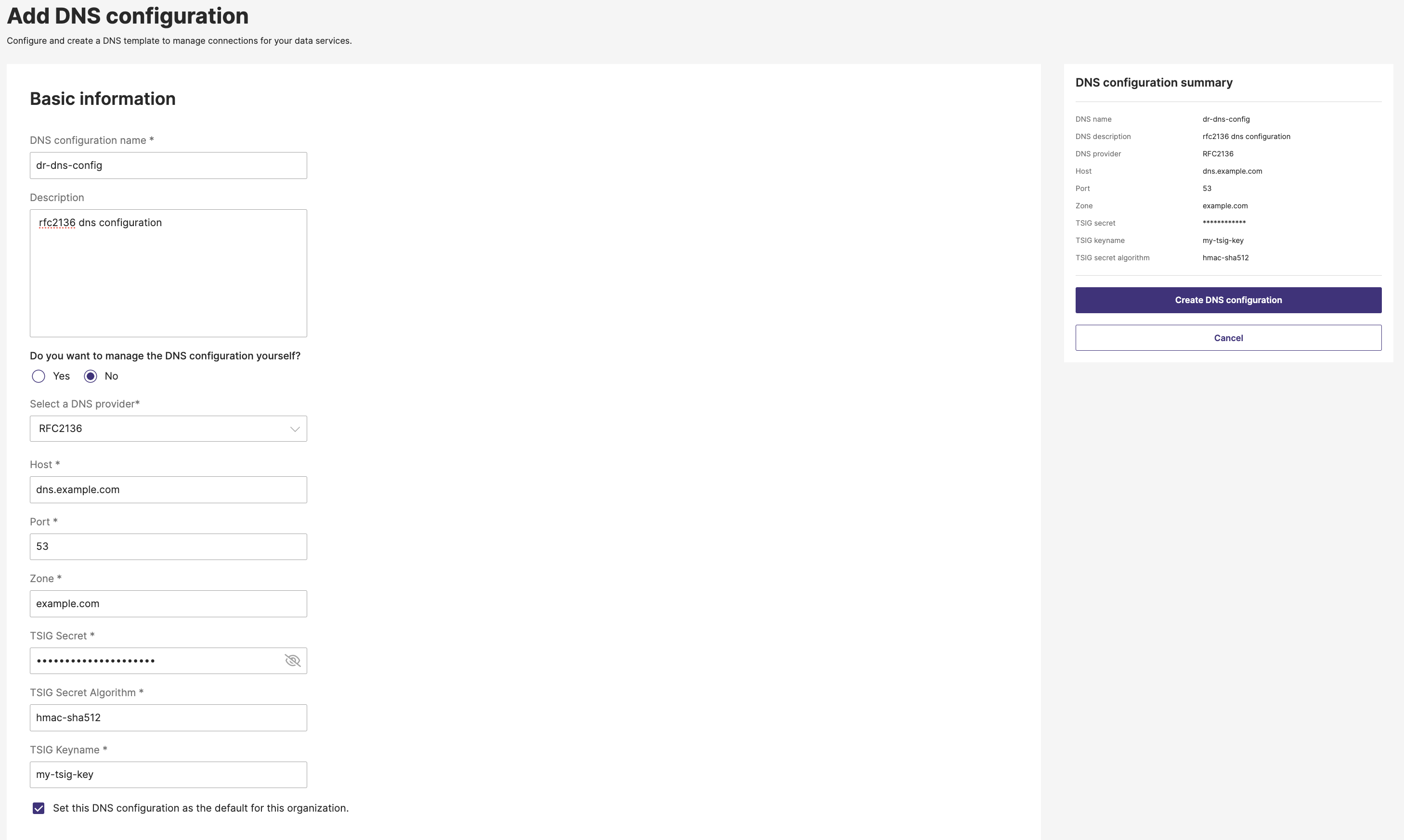 Add DNS config